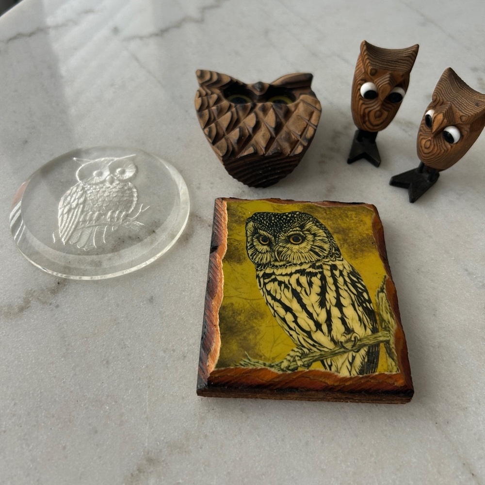 Owl Figurine and Paperweight Set